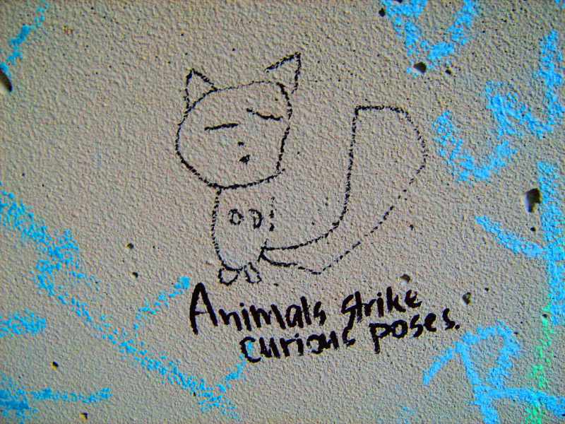 gli animali si mettono in pose curiose